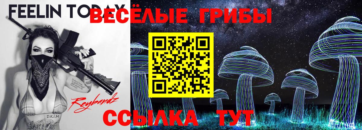 Псилоцибиновые грибы прущие грибы  Галлюциногенные грибы ЛСД  Камень-на-Оби  Вход с VPN 